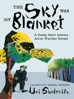cover image of The Sky Was My Blanket